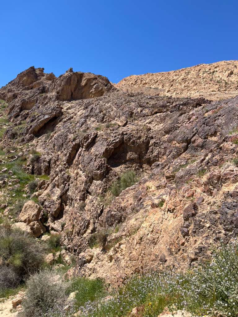 Scaling a mountain! Avi’s tiyul with Gush to Eilat, day 1