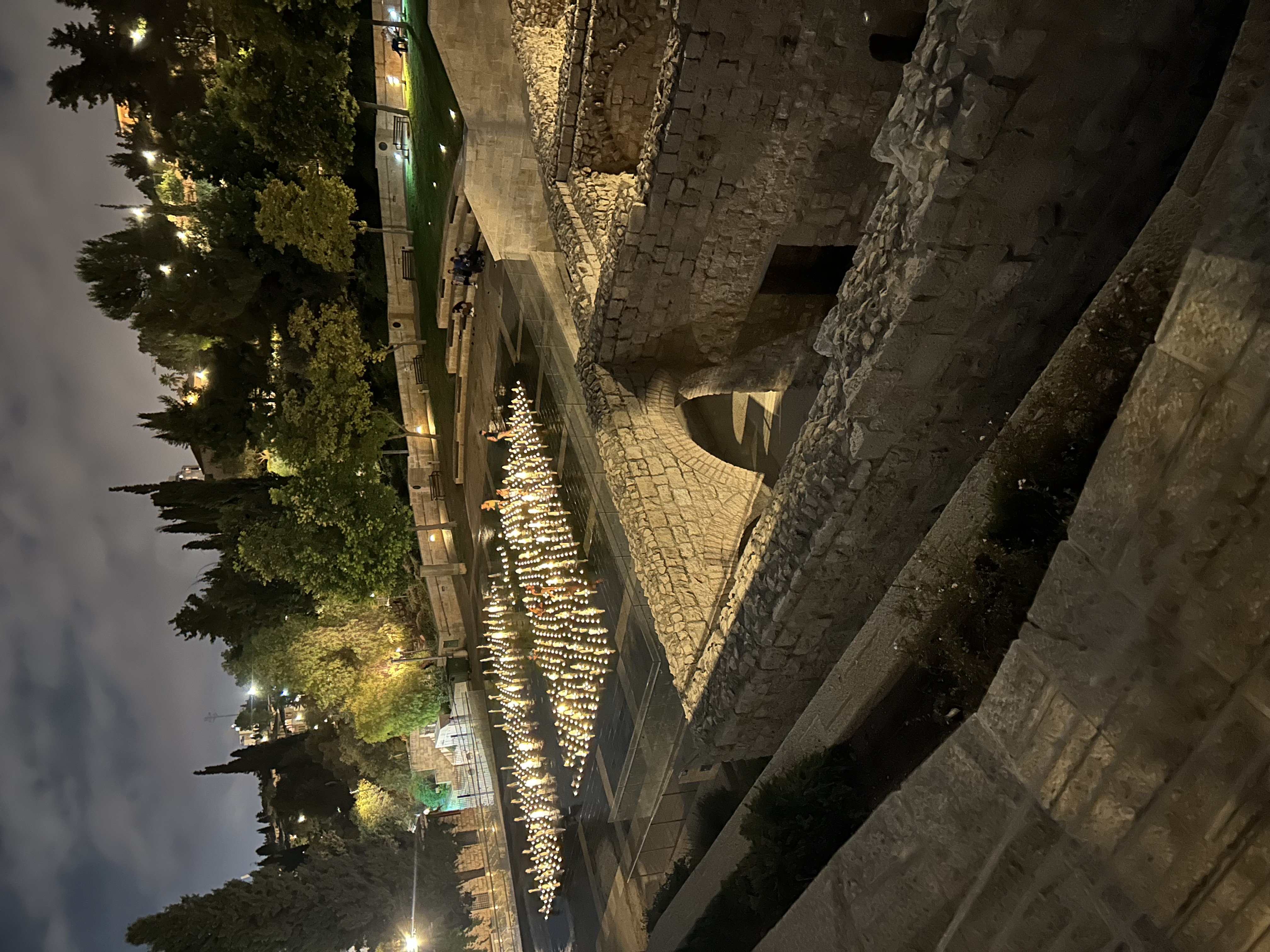 Teddy Park illuminated at night