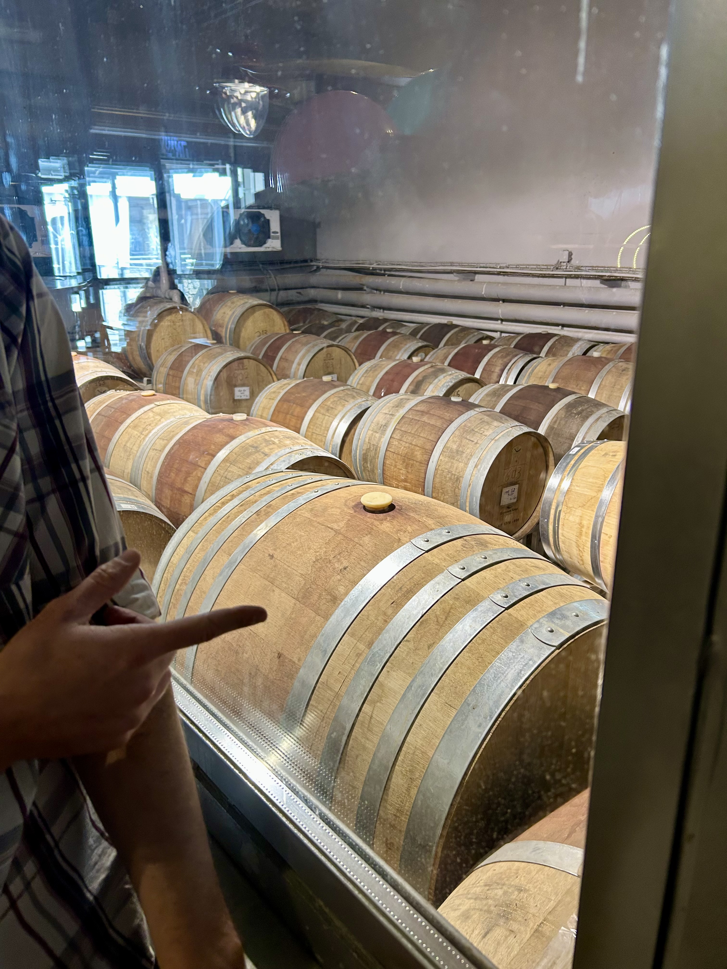 A beautiful February morning for a winery tour and brunch in Gush Etzion