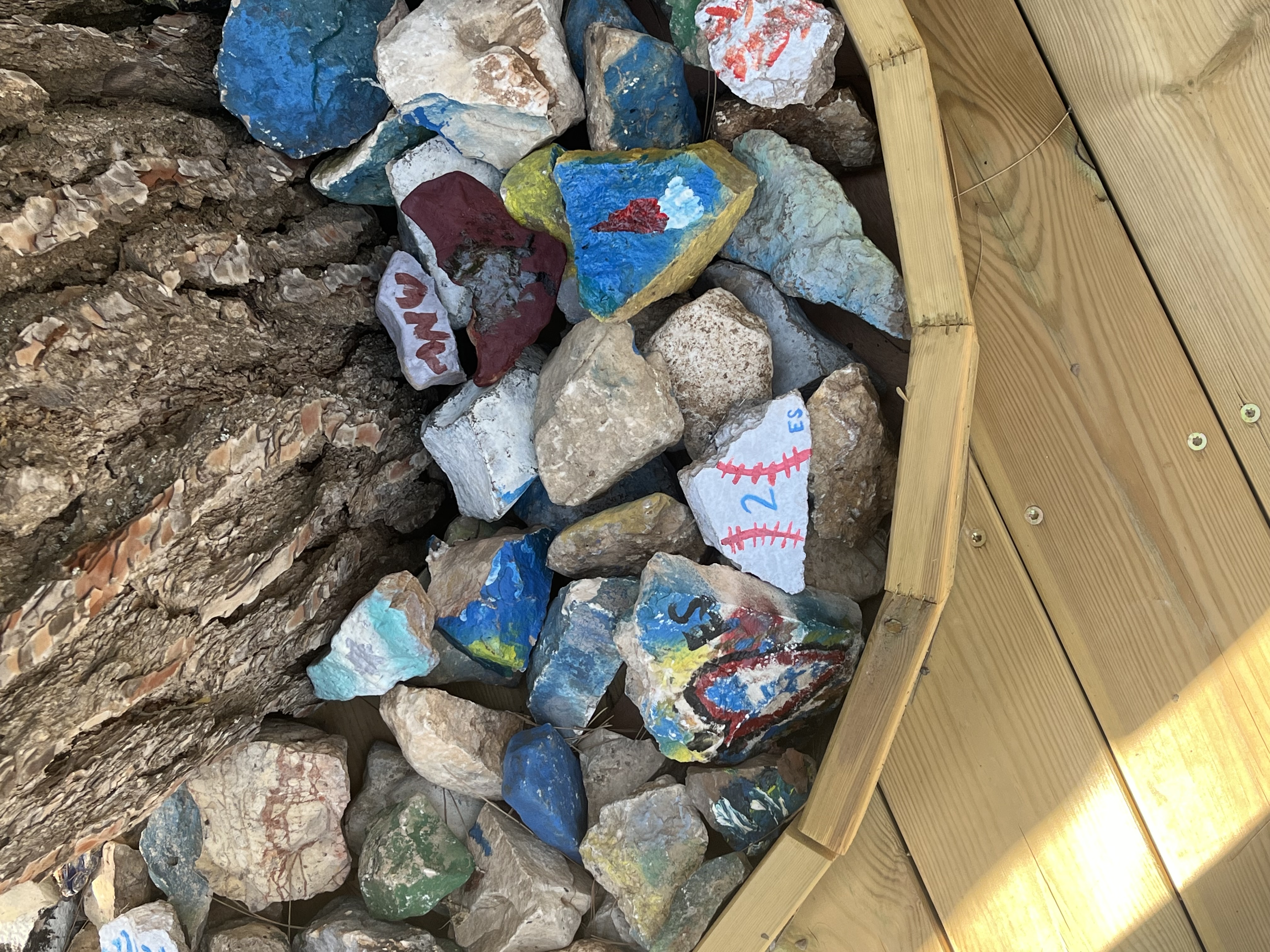 Walk for Ezra Schwartz