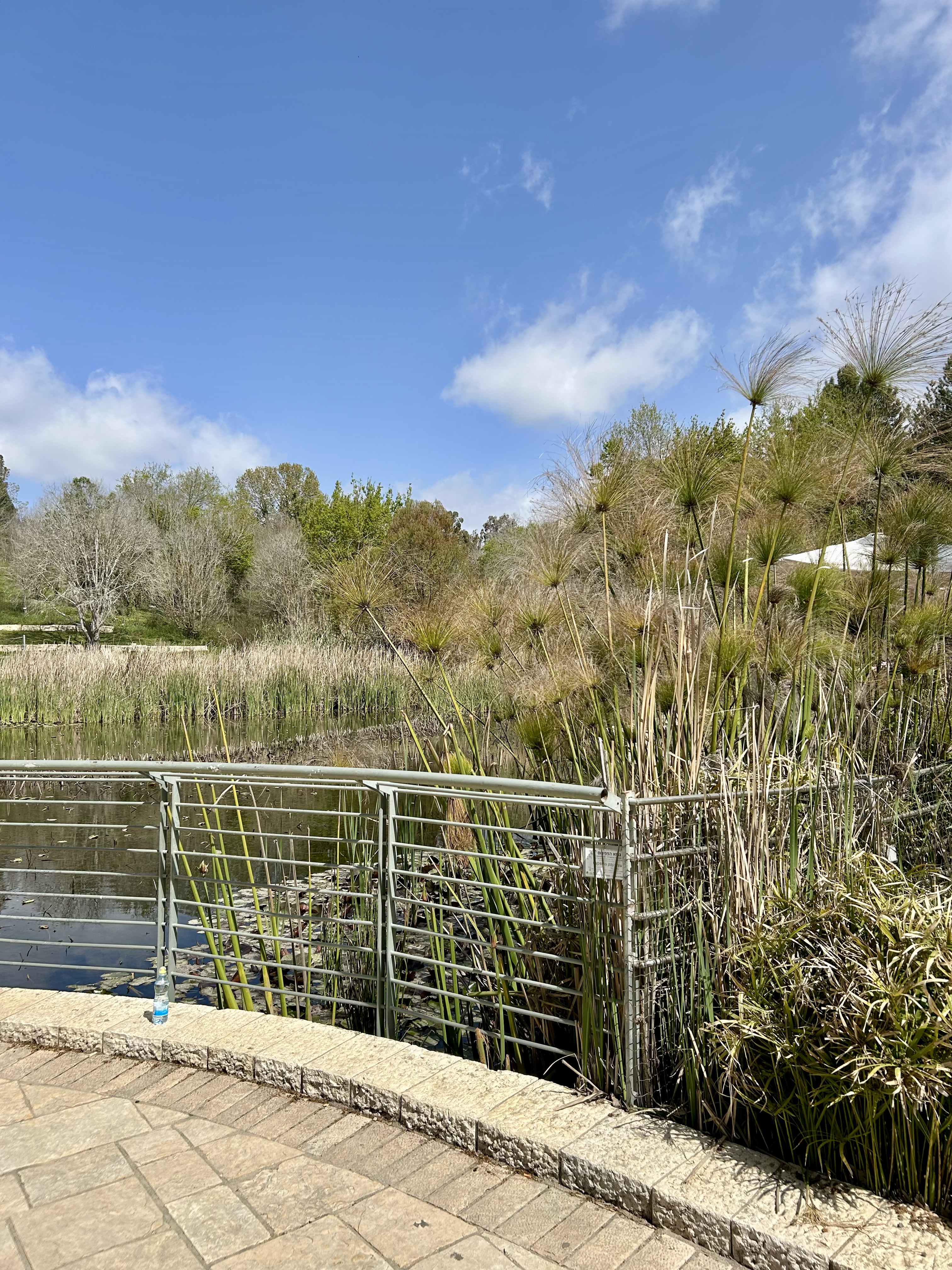 Visit to Jerusalem Botanical Garden on Chol HaMoed Pesach