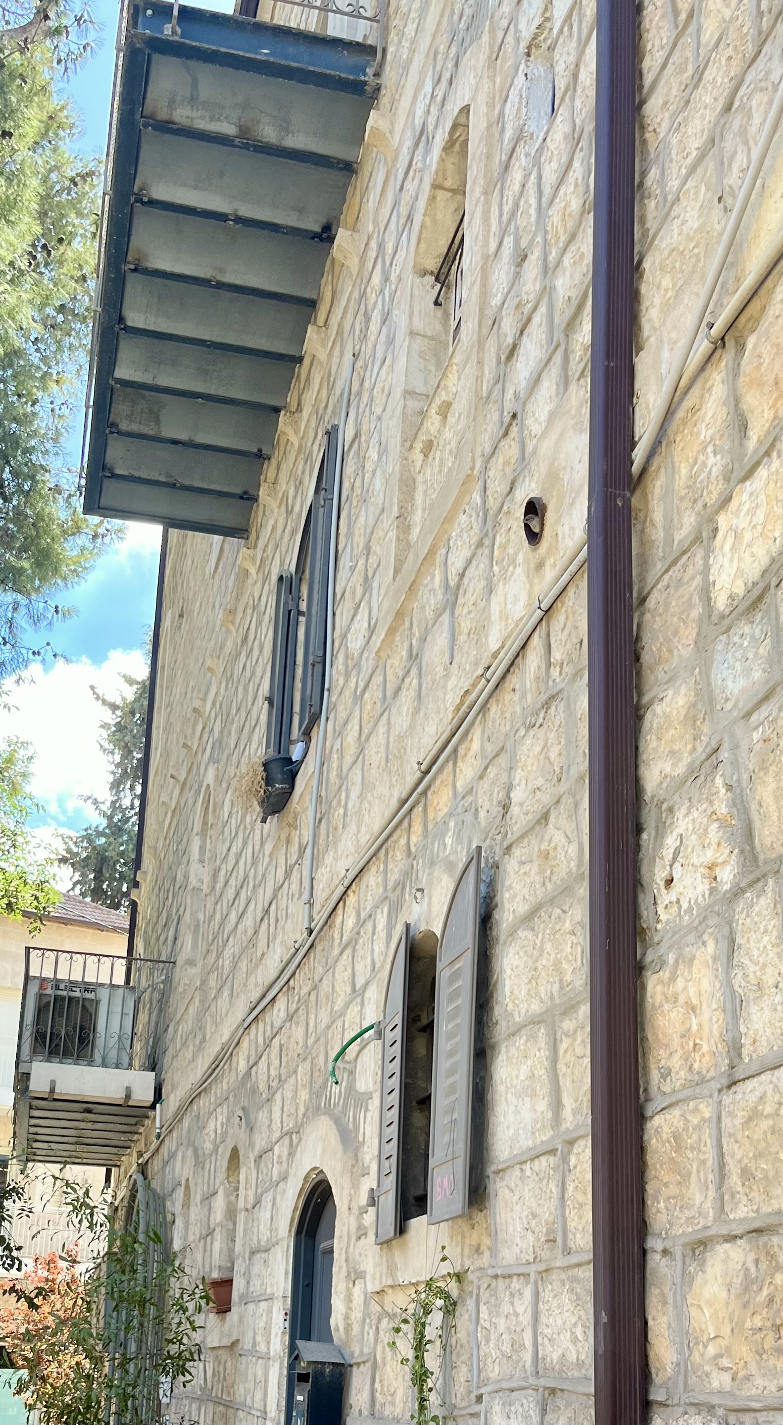 Birdie poking out of a drain pipe, off Emek Refaim