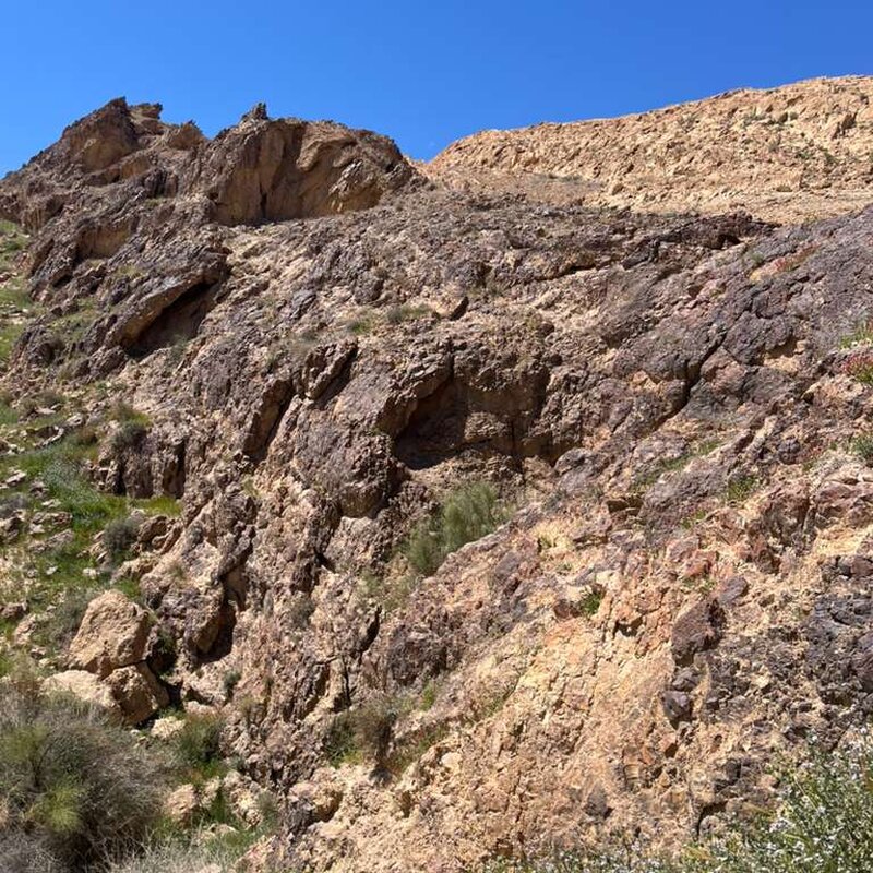 Scaling a mountain! Avi’s tiyul with Gush to Eilat, day 1