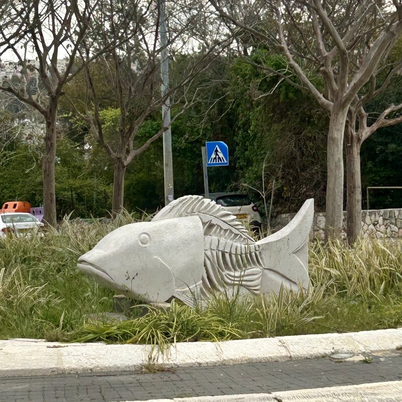 A fish on Ben Zakkai